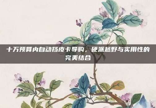 十万预算内自动挡皮卡导购,硬派越野与实用性的完美结合