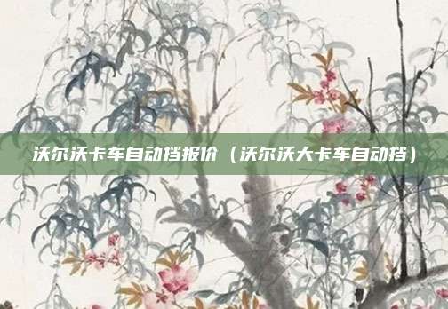 沃尔沃卡车自动挡报价(沃尔沃大卡车自动挡)