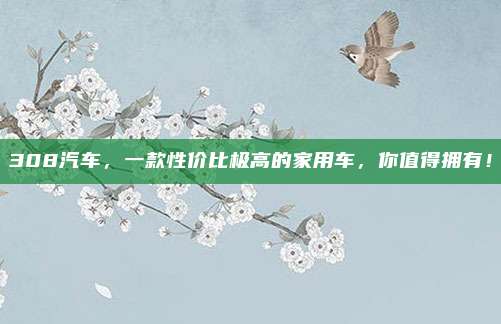 308汽车,一款性价比极高的家用车,你值得拥有!