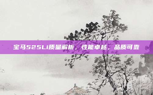 宝马525Li质量解析,性能卓越,品质可靠