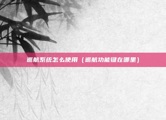 巡航系统怎么使用（巡航功能键在哪里）