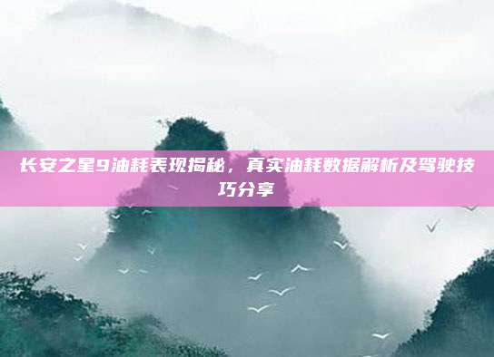长安之星9油耗表现揭秘,真实油耗数据解析及驾驶技巧分享