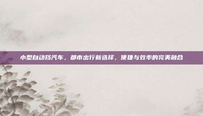 小型自动挡汽车,都市出行新选择,便捷与效率的完美融合