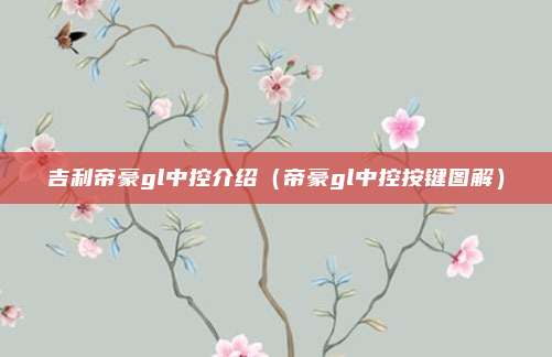 吉利帝豪gl中控介绍（帝豪gl中控按键图解）