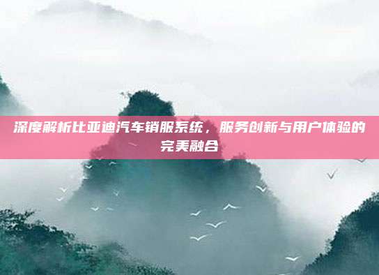 深度解析比亚迪汽车销服系统,服务创新与用户体验的完美融合