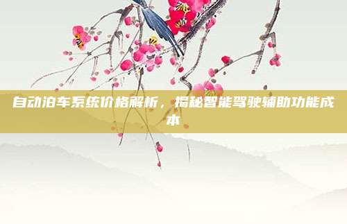 自动泊车系统价格解析,揭秘智能驾驶辅助功能成本