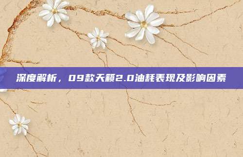 深度解析,09款天籁2.0油耗表现及影响因素