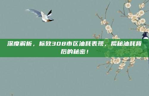 深度解析,标致308市区油耗表现,揭秘油耗背后的秘密!