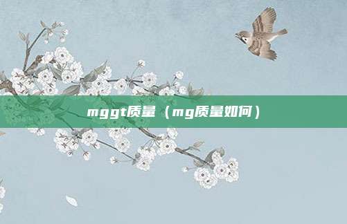 mggt质量(mg质量如何)