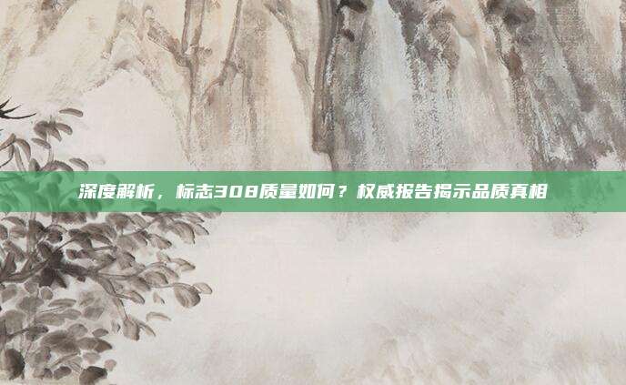 深度解析,标志308质量如何?权威报告揭示品质真相