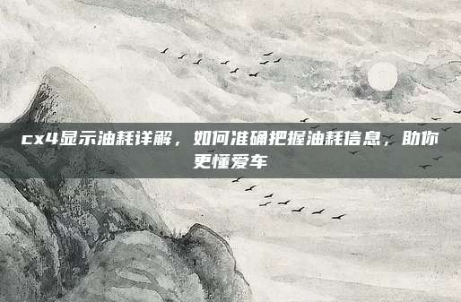 cx4显示油耗详解,如何准确把握油耗信息,助你更懂爱车