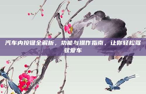 汽车内按键全解析,功能与操作指南,让你轻松驾驭爱车