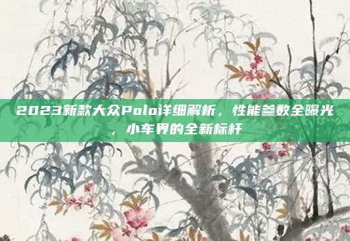 2023新款大众Polo详细解析,性能参数全曝光,小车界的全新标杆