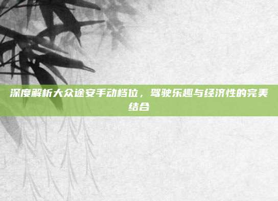 深度解析大众途安手动档位,驾驶乐趣与经济性的完美结合