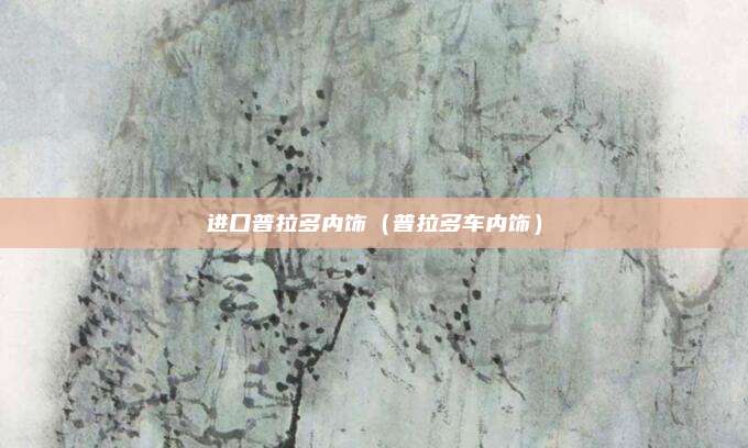 进口普拉多内饰(普拉多车内饰)
