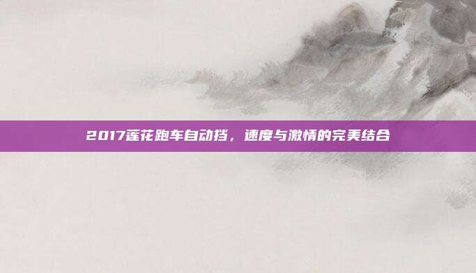 2017莲花跑车自动挡,速度与激情的完美结合