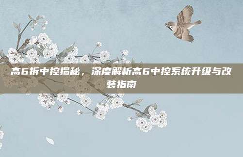 高6拆中控揭秘,深度解析高6中控系统升级与改装指南