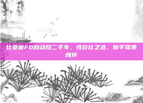 比亚迪F0自动挡二手车,性价比之选,新手驾乘良伴