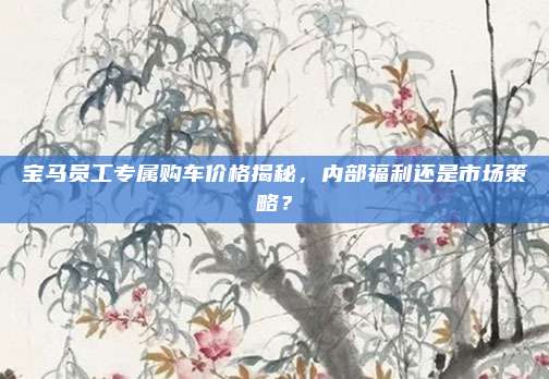 宝马员工专属购车价格揭秘,内部福利还是市场策略?