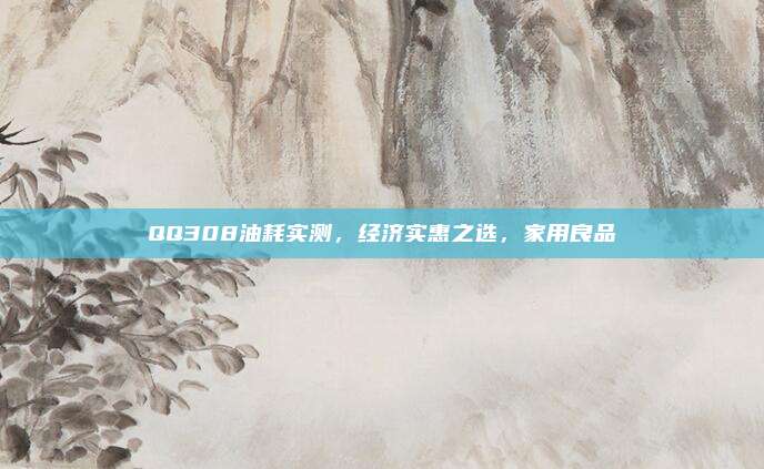 QQ308油耗实测,经济实惠之选,家用良品