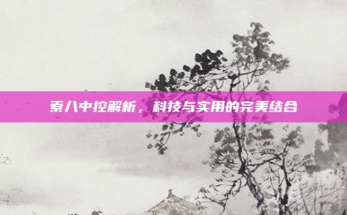 索八中控解析,科技与实用的完美结合