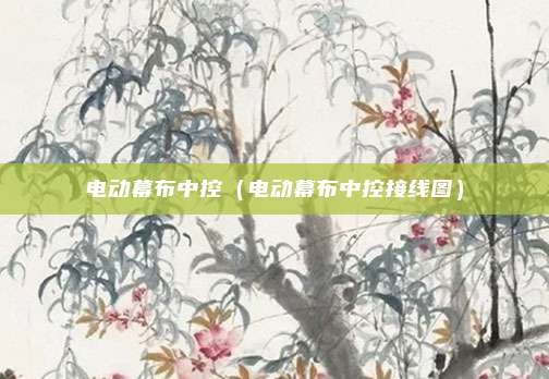 电动幕布中控(电动幕布中控接线图)