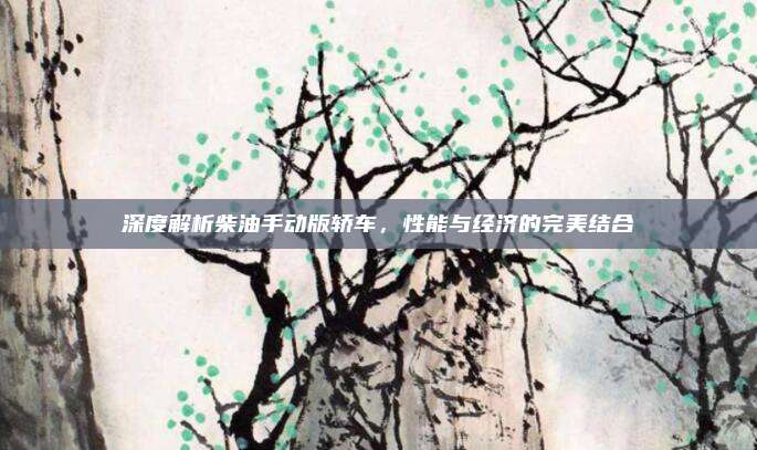 深度解析柴油手动版轿车,性能与经济的完美结合