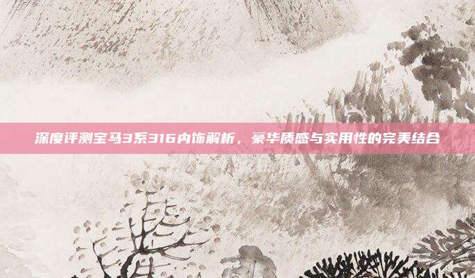 深度评测宝马3系316内饰解析,豪华质感与实用性的完美结合
