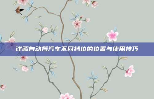 详解自动挡汽车不同挡位的位置与使用技巧