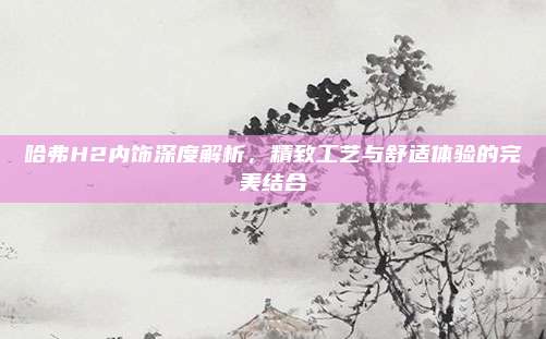 哈弗H2内饰深度解析,精致工艺与舒适体验的完美结合