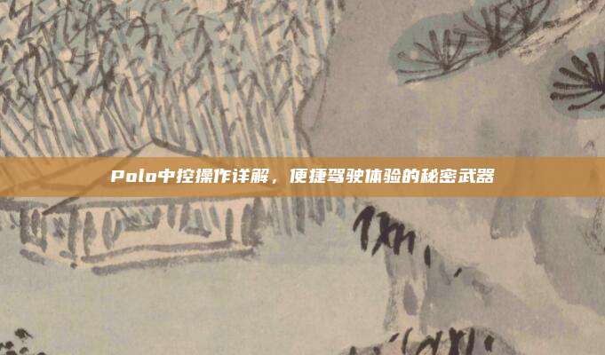 Polo中控操作详解,便捷驾驶体验的秘密武器