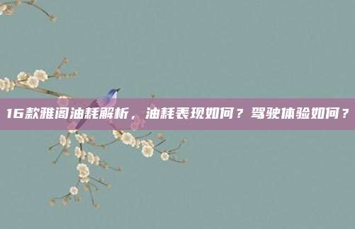 16款雅阁油耗解析,油耗表现如何?驾驶体验如何?