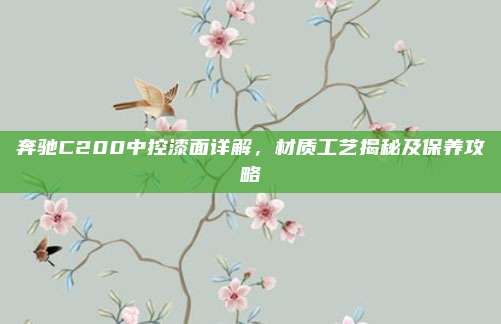 奔驰C200中控漆面详解,材质工艺揭秘及保养攻略