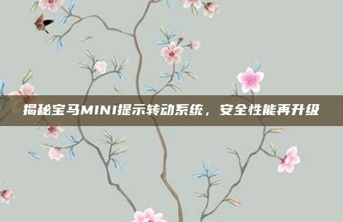 揭秘宝马MINI提示转动系统,安全性能再升级