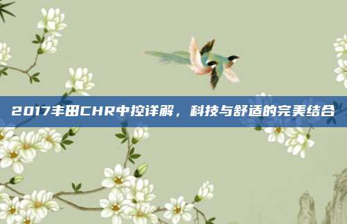 2017丰田CHR中控详解,科技与舒适的完美结合