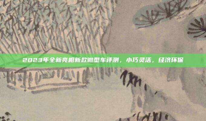 2023年全新亮相新款微型车评测,小巧灵活,经济环保