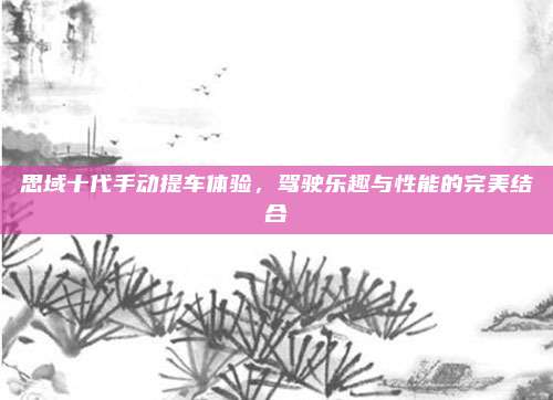 思域十代手动提车体验,驾驶乐趣与性能的完美结合
