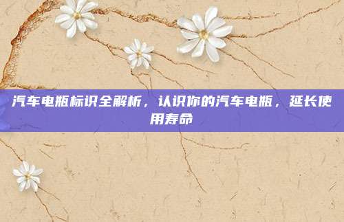 汽车电瓶标识全解析,认识你的汽车电瓶,延长使用寿命