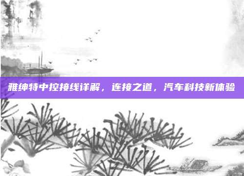 雅绅特中控接线详解,连接之道,汽车科技新体验
