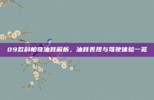 09款科帕奇油耗解析,油耗表现与驾驶体验一览