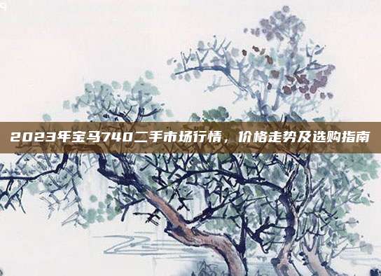 2023年宝马740二手市场行情，价格走势及选购指南