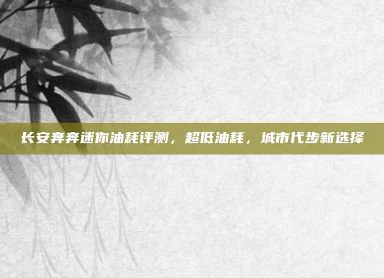 长安奔奔迷你油耗评测,超低油耗,城市代步新选择