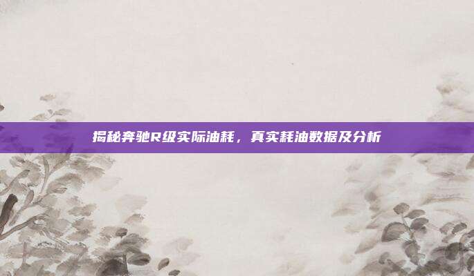 揭秘奔驰R级实际油耗,真实耗油数据及分析