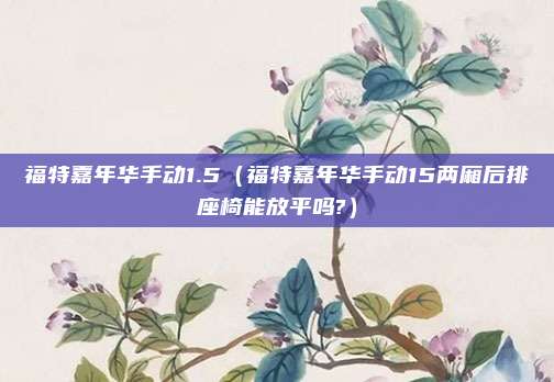 福特嘉年华手动1.5（福特嘉年华手动15两厢后排座椅能放平吗?）