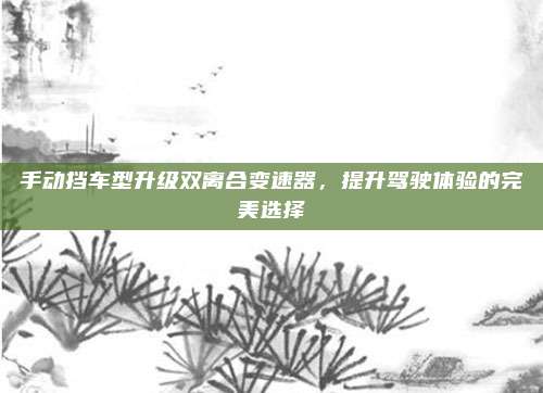 手动挡车型升级双离合变速器,提升驾驶体验的完美选择