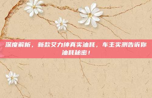 深度解析,新款艾力绅真实油耗,车主实测告诉你油耗秘密!