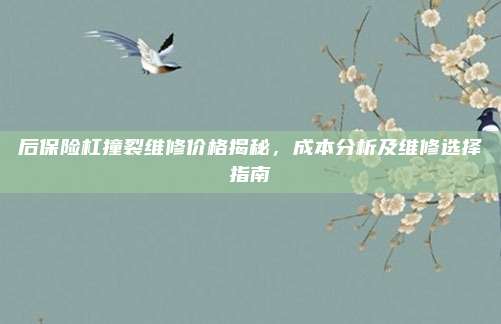 后保险杠撞裂维修价格揭秘,成本分析及维修选择指南