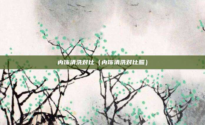 内饰清洗对比（内饰清洗对比照）
