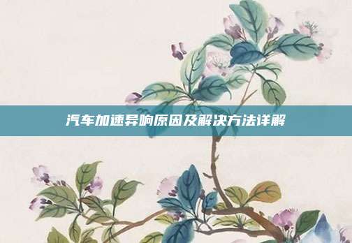汽车加速异响原因及解决方法详解