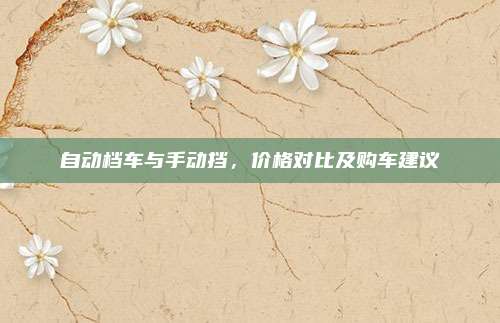 自动档车与手动挡,价格对比及购车建议